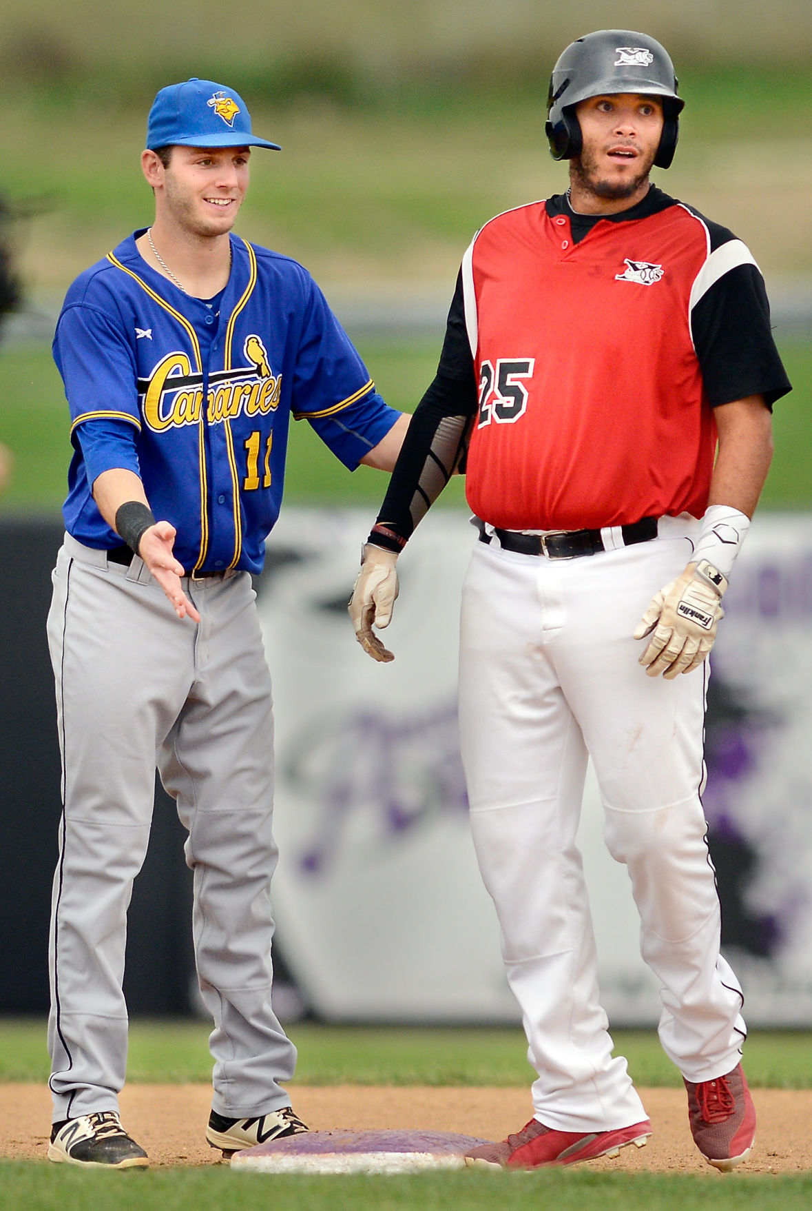 Baseball Sioux Falls Canaries vs. Sioux City Explorers